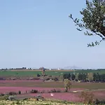 Il Filaro Del Castello Di San Basilio 农家乐 马里纳皮斯蒂奇