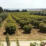 Il Filaro Del Castello Di San Basilio