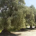 Il Filaro Del Castello Di San Basilio 马里纳皮斯蒂奇
