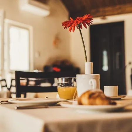 Il Filaro Del Castello Di San Basilio