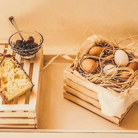 Il Filaro Del Castello Di San Basilio Farm stay