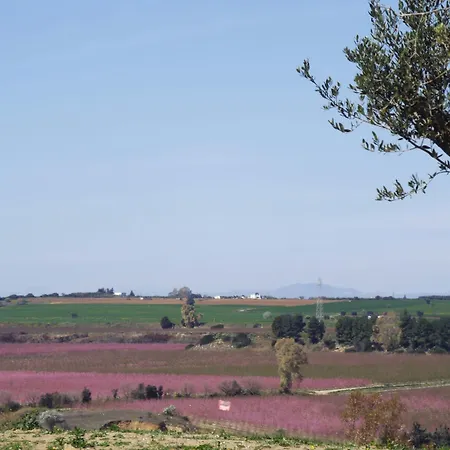 Il Filaro Del Castello Di San Basilio Vakantieboerderij Marina Di Pisticci