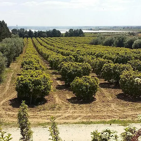 Il Filaro Del Castello Di San Basilio