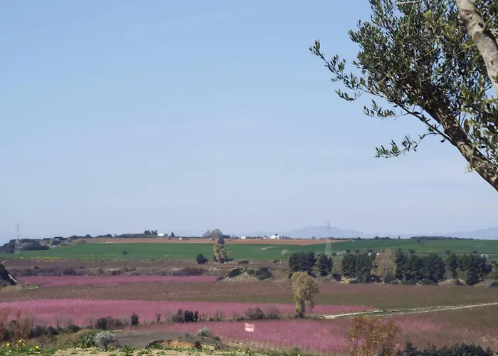 Il Filaro Del Castello Di San Basilio Vakantieboerderij Marina Di Pisticci