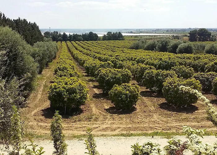Il Filaro Del Castello Di San Basilio